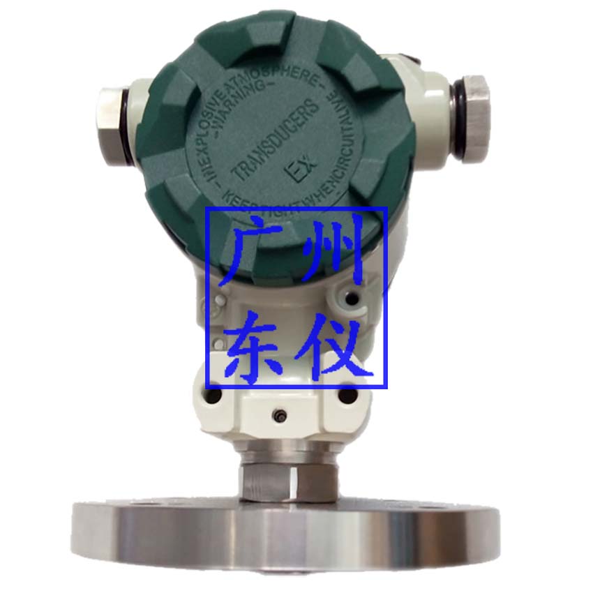 DP51法兰压力变送器